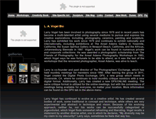 Tablet Screenshot of lavogel.com